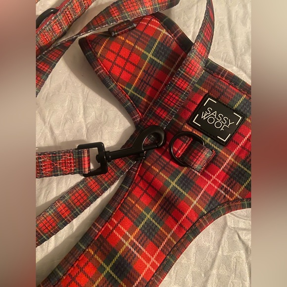 Sassy woof harness and leash SIZE XL - Picture 3 of 4